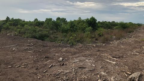 Mondlandschaft wo mal Regenwald war, Borneo in Indonesien