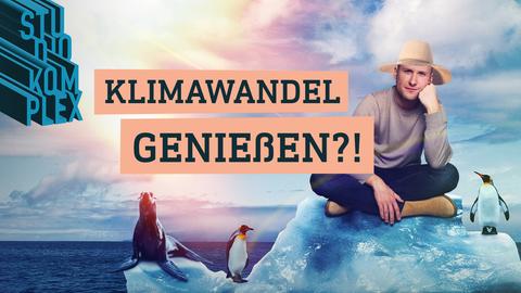 Der Host David sitzt entspannt in der Sonne auf einer Eisscholle mitten im Meer und blickt zufrieden in die Kamera. Er trägt einen Sonnenhut. Neben ihn gesellen sich zwei zutrauliche Pinguine und Seelöwe, die mit ihm auf der treibenden Eisscholle sitzen.