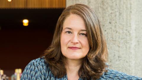 Birte Meier, Journalistin