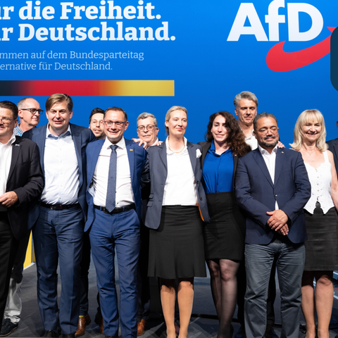 Die Mitglieder des 14-köpfigen AfD-Bundesvorstandes 2022