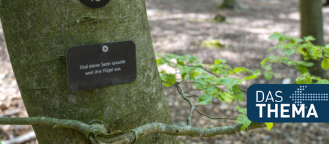 Ein letzte Nachricht an einem Baum in einem sogenannten Friedwald