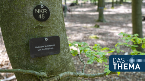 Ein letzte Nachricht an einem Baum in einem sogenannten Friedwald