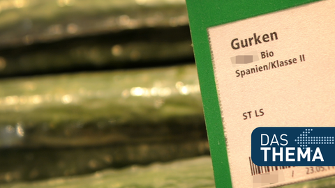In Plastik verpackte Biogurken aus Spanien