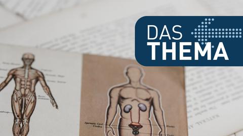 Das Thema: Anatomisch anders – neue Erkenntnisse der Gendermedizin