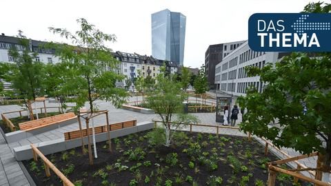 Der Paul-Arnsberg-Platz im Frankfurter Stadtteil Ostend nach der klimafreundlichen Umgestaltung.