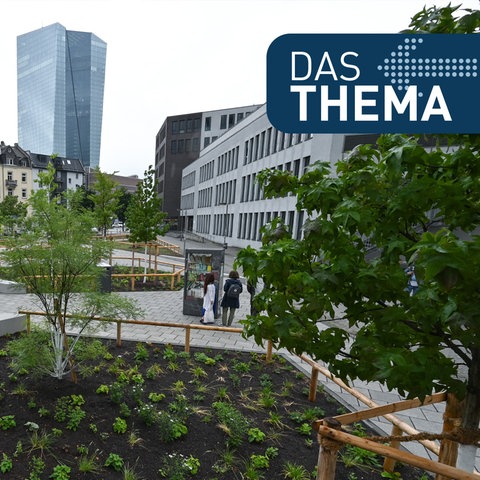 Der Paul-Arnsberg-Platz im Frankfurter Stadtteil Ostend nach der klimafreundlichen Umgestaltung.