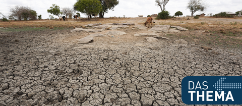 Dürrefeld in Kenia