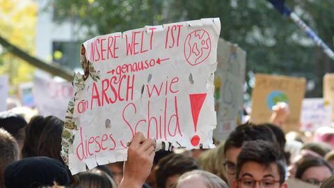 Demonstranten während des globalen Klimastreiks halten ein beschädigtes Papierschild mit der Aufschrift Unsere Welt ist so beschissen wie dieses Schild hoch