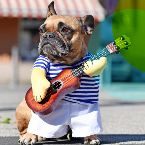 Ein kleiner Hund, der ein Kostüm anhat, in dem er so aussieht als würde er Gitarre spielen