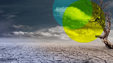 Der Tag - Klimakrank: Wie die heiße Erde unsere Gesundheit bedroht   