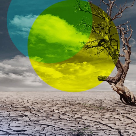 Der Tag - Klimakrank: Wie die heiße Erde unsere Gesundheit bedroht   