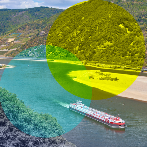 Niedrigwasser im Rhein bei Bingen (2022)