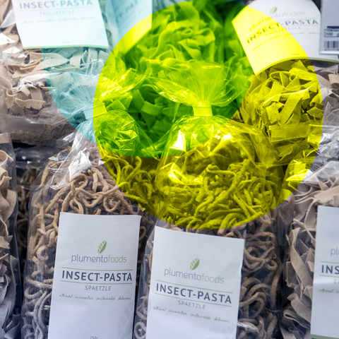 Pasta aus Insekten