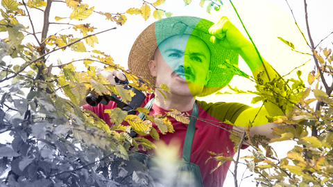 Ein Nachbar schimpft über die Gartenhecke