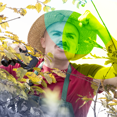 Ein Nachbar schimpft über die Gartenhecke