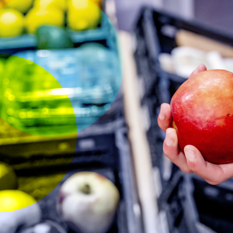 Wo soll unser Obst herkommen?