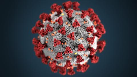 Corona-Virus-Darstellung