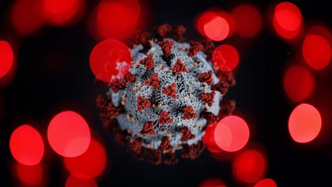 Symbolbild: Ein Coronavirus umgeben von anderen Krankheitserregern.