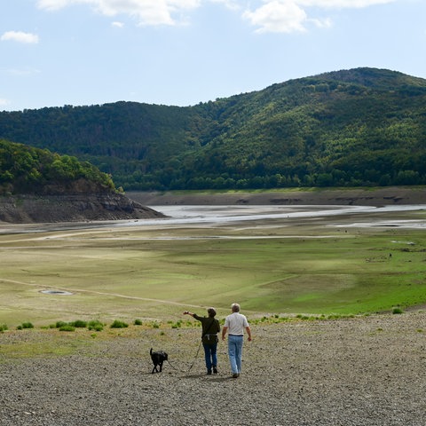 Zwei Wanderer mit Hund am Edersee