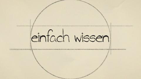 Schriftzug "einfach wissen"
