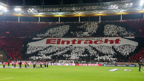 Eintracht Fans