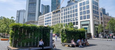 „Mobile grüne Zimmer“ heissen bepflanzte Container, in denen Passanten auf dem Großmarkt in der Innenstadt von Frankfurt einen Schattenplatz finden. 