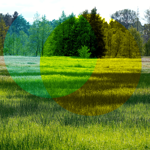 Das Moor bei den Möllmer Seewiesen