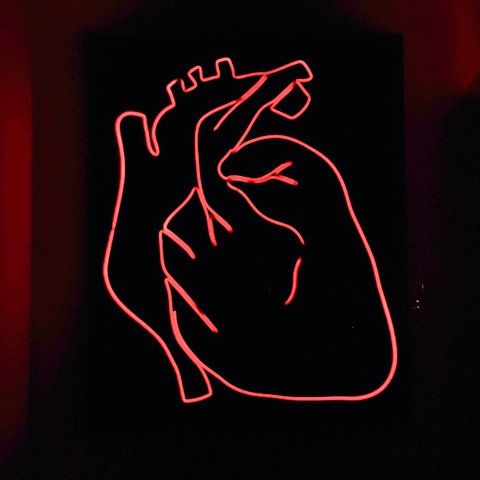 Symbolbild Herz