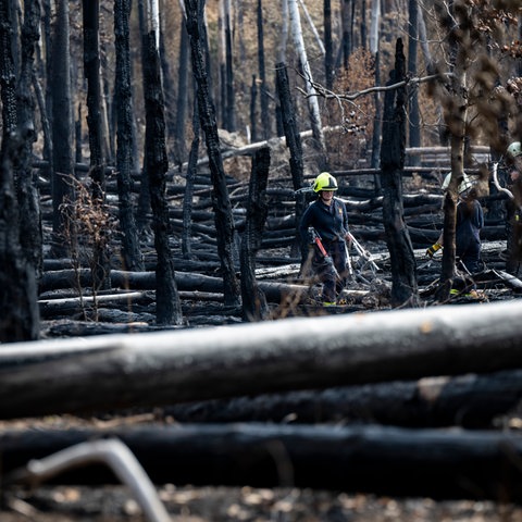 Feuerwehrleute tragen ihre Ausrüstung aus einem niedergebrannten Wald bei Münster in Hessen
