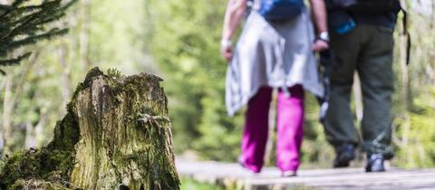 Wanderer in der Rhön