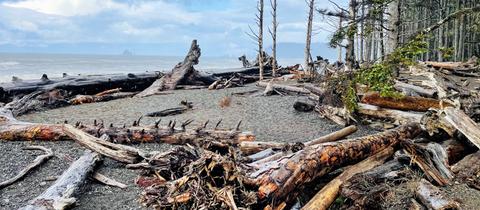 Rialto Beach