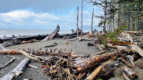 Rialto Beach