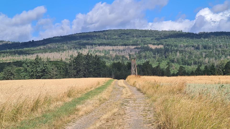 Waldtagung