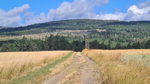 Waldtagung