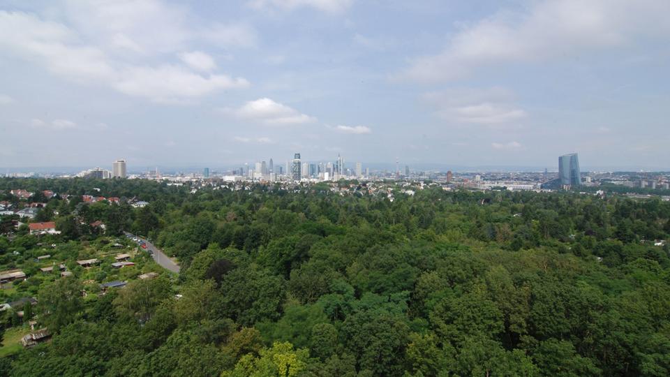 Frankfurt am Main. Ansicht von der Aussichtsplattform des 43 Meter hohen "Goetheturms" im Stadtwald Frankfurt Sachsenhausen.
